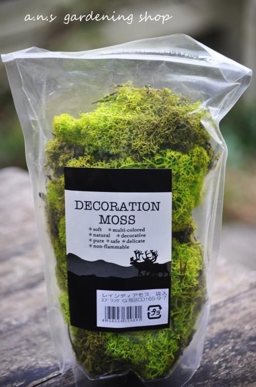 モス 多肉植物やガーデニング用品 アンティークの通販サイト A N S