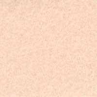 アイロン接着フェルト 1mm 15cm角 RN-22 肌色