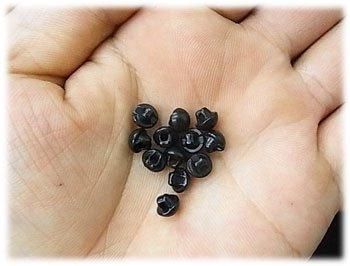 目玉ボタン（目玉釦） 6ミリ ぬいぐるみの目玉・鼻