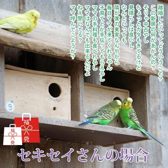 鳥用品満載の福袋を今年も発売 セキセイインコ専用福袋は爽やかなユーカリがたっぷり入ったお楽しみ満載の充実度です