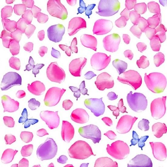 転写紙販売 D Miracle