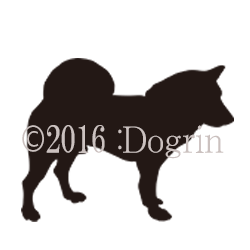 柴犬 シルエット リュウ Dogrin Dog Style Shop