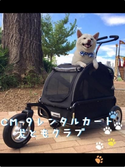 Cm 9ペットカート 人気のエアバギー トゥインクル レンタル商品 愛犬サポート 犬ともクラブ