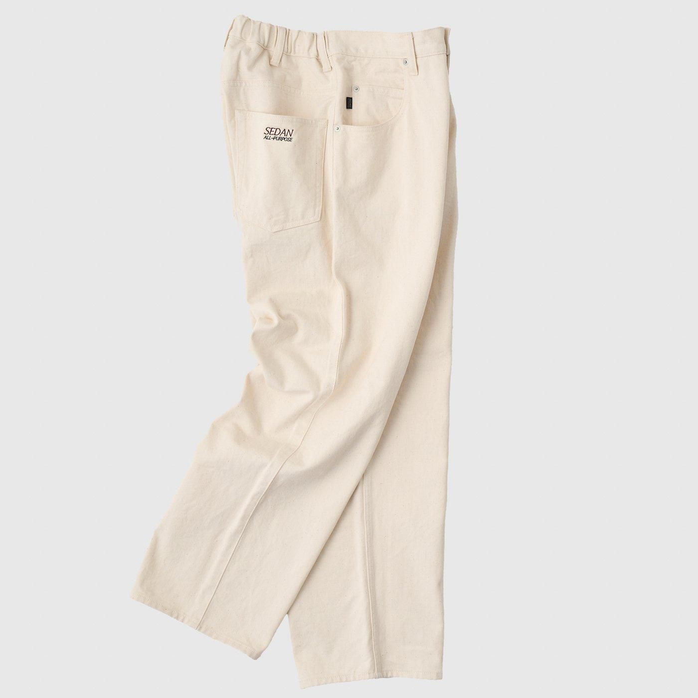 SEDAN ALL-PURPOSE * SD25S-PT01 Classic Fit 5P Pants(2Ÿ)