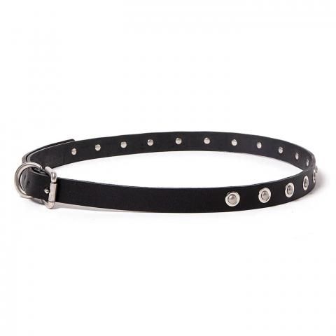 hobo * HB-BL4602 STUDDED BELT COW LEATHER * Black