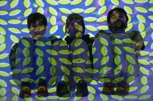 ANIMAL COLLECTIVE