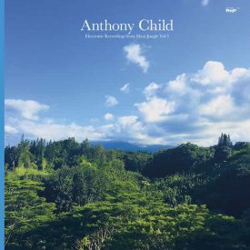 ANTHONY CHILD / Electronic Recordings From Maui Jungle Vol 2 (CD/2LP)