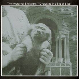 NOCTURNAL EMISSIONS / Drowning in a Sea of Bliss (CD)
