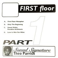 THEO PARRISH / First Floor (Part 1) (Vinyl 2LP)