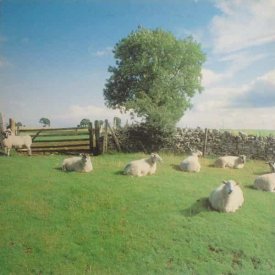 THE KLF / Chill Out (LP)