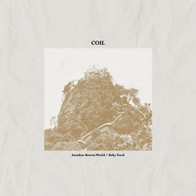 COIL / Another Brown World / Baby Food (12 inch)