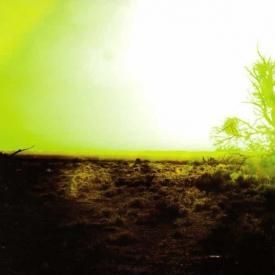 パン・ソニック CD3枚セット/ Panasonic（PAN SONIC） Yahoo!オークション -「pan sonic」(CD) の落札相場・落札価格