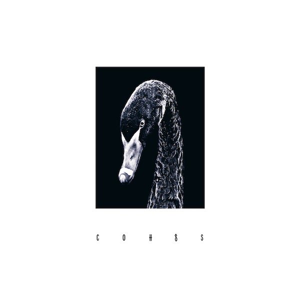 COH / CoHgs (LP) Cover