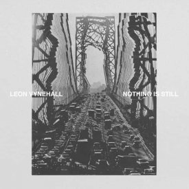 LEON VYNEHALL / Nothing Is Still (LP/LP Box)