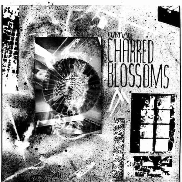 CYRNAI / Charred Blossoms (LP) Cover