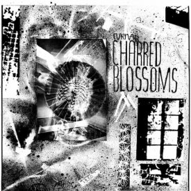 CYRNAI / Charred Blossoms (LP)