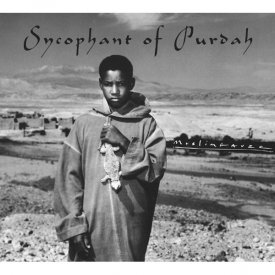 MUSLIMGAUZE / Sycophant Of Purdah (CD)