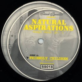 THEO PARRISH / Natural Aspirations (Vinyl Vers. Pt.1) (12inch)