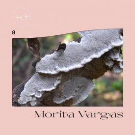 MORITA VARGAS / 8 (LP)