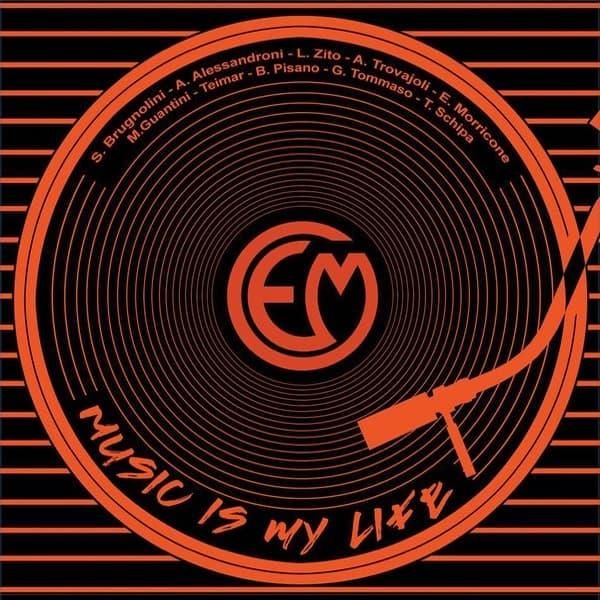 Various / Music Is My Life (LP) - cover photo