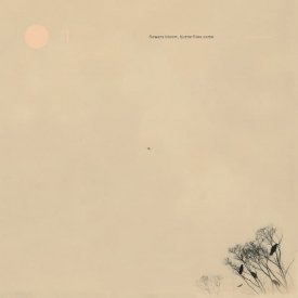 OBSERVATORIES + MIHO KAJIOKA / Flowers Bloom, Butterflies Come (LP)
