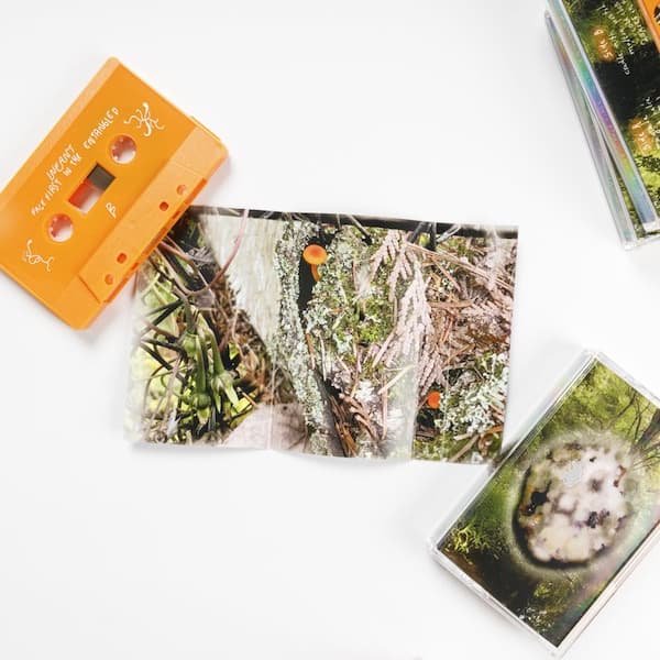 INFANT / Face First In The Entangled (Cassette) - other images