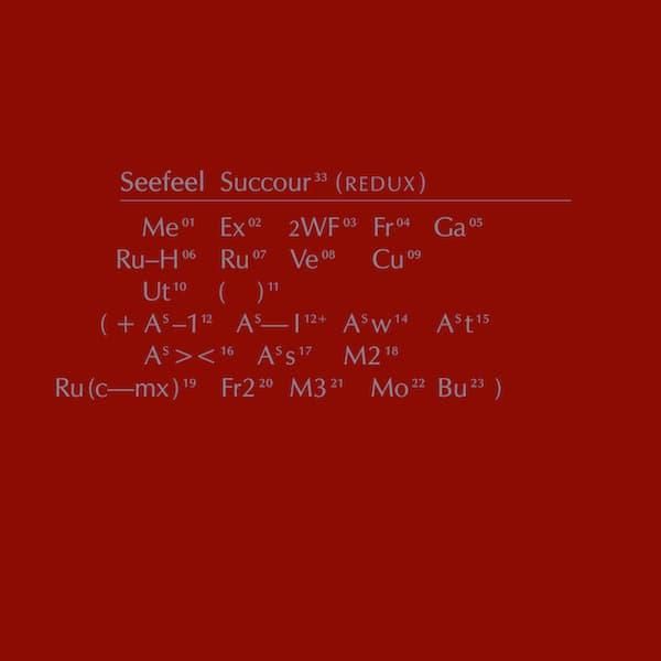 SEEFEEL / Succour (REDUX) (3LP+DL) - cover photo