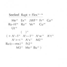SEEFEEL / Rupt & Flex (1994 - 96) (4CD box)