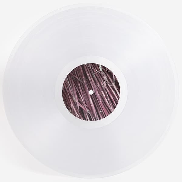 JIM O'ROURKE / Too Compliment (LP) - other images 2