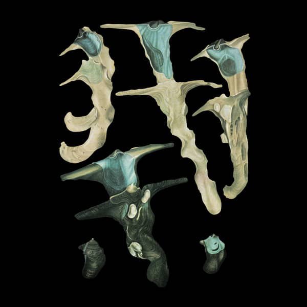 RAINFOREST SPIRITUAL ENSLAVEMENT / Jellyfish Reproduce Black Magic (12 inch color Vinyl) Cover