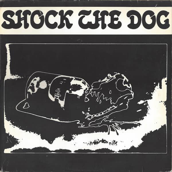 PETER GABRIEL / Shock The Dog (3LP-used)