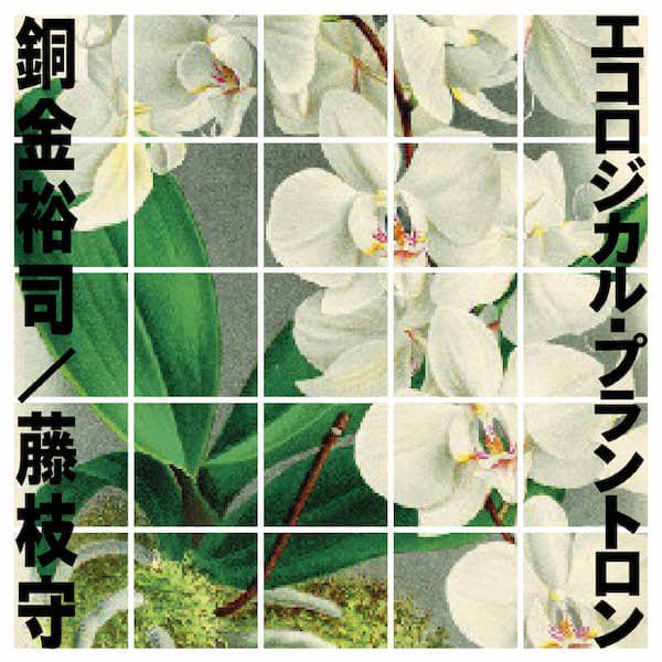 銅金裕司 / 藤枝守 / エコロジカル・プラントロン (CD/LP) Cover