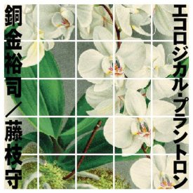 銅金裕司 / 藤枝守 / エコロジカル・プラントロン (CD/LP) - sleeve image
