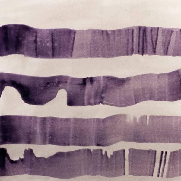 FLOCKS のファースト・アルバム『Flocks』