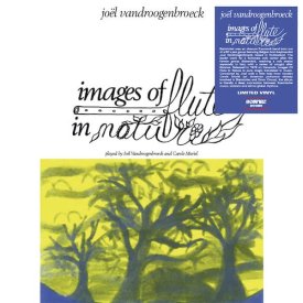 JOEL VANDROOGENBROECK / Images Of Flute In Nature (LP) - sleeve image