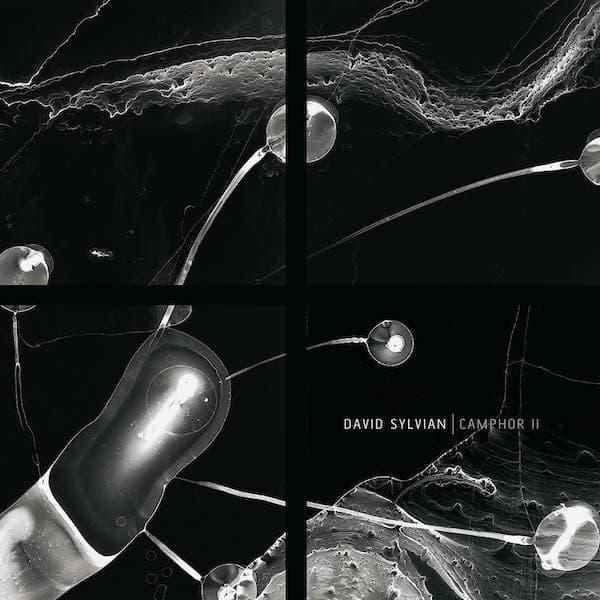 DAVID SYLVIAN / Camphor II (2LP color vinyl) - cover photo