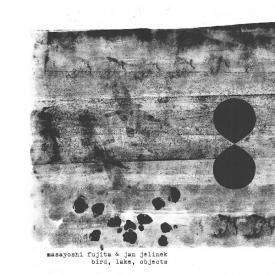 MASAYOSHI FUJITA and JAN JELINEK / Bird, Lake, Objects (LP)