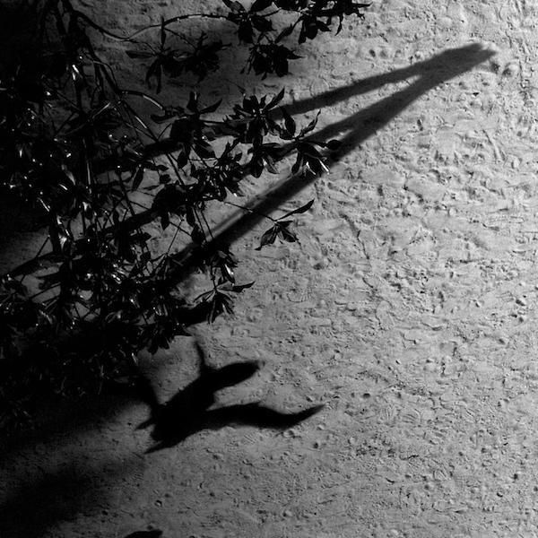 MAX RICHTER / The Blue Notebooks (CD) - STORE15NOV