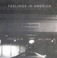 PETE SWANSON / Feelings In America (LP)