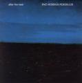 ENO, MOEBIUS, ROEDELIUS / After The Heat (180g/LP Remaster)