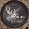 ROSWELL RETURN / Probe (2x12 inch+DL)