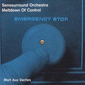 SENSSURROUND ORCHESTRA / Meltdown Of Control (CD)