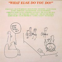 Various / What Else Do You Do? (A Compilation Of Quiet Music) (CD)