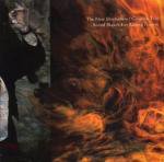 THE NEW BLOCKADERS, GOSPLAN TRIO / Sound Sketch for Raging Flames (CD)