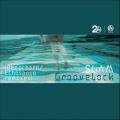 SLAM / Groovelock Remixed (Deepchord & Echospace Remixes) (12 inch)