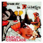 PASCAL COMELADE / Stranger in Paradigm (10 inch LP)