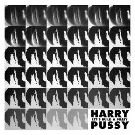 HARRY PUSSY / Let's Build A Pussy (LP)