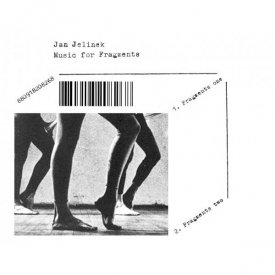 JAN JELINEK / Music for Fragments / Music & Birds (12 inch)