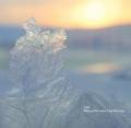 CELER / Without Retrospect, The Morning (CD)