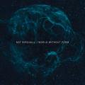 NAT BIRCHALL / World Without Form (CD)